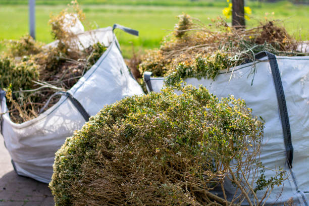 Best Mattress Removal Service  in Smithton, IL